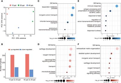 Divergent molecular responses of greater amberjack (Seriola dumerili) to acute salinity stress revealed by comparative transcriptome analysis